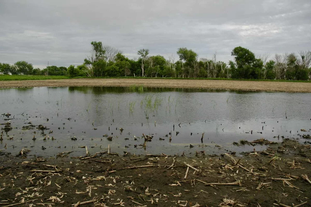 USDA's New Rule May Affect Farmers' Prevented Planting Coverage