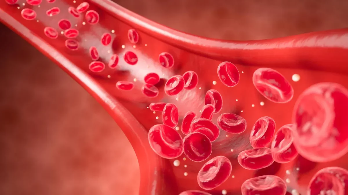 Revolutionary Scan Detects Heart Disease Years in Advance