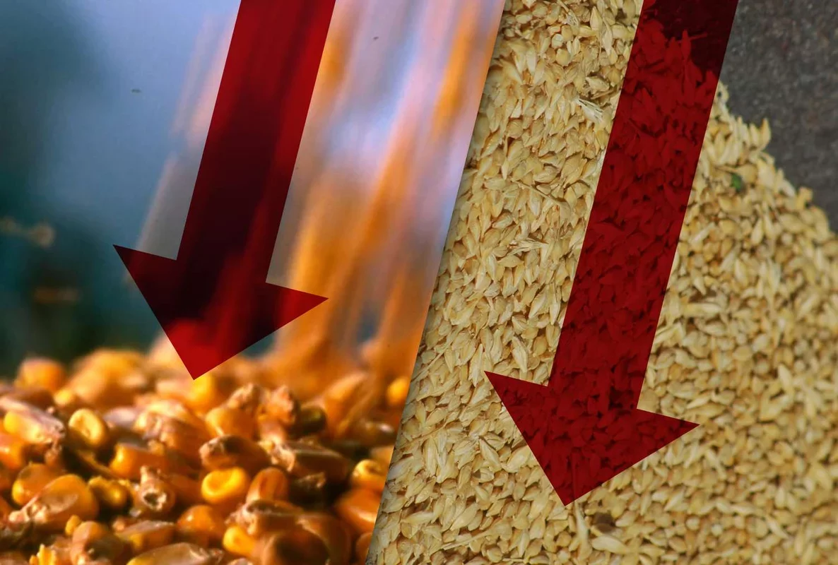 Market Trends: A Look at Commodity Performance