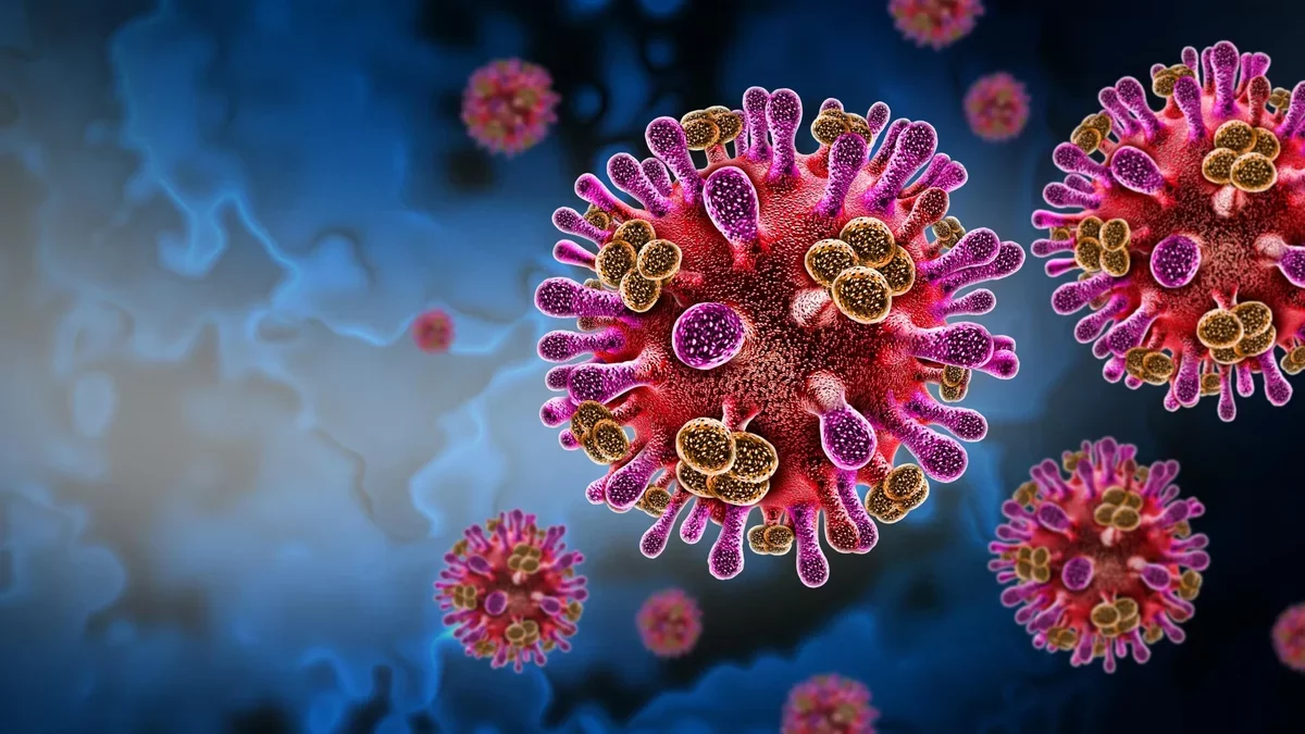 New Insights into Bat-Related Virus Infections in Humans