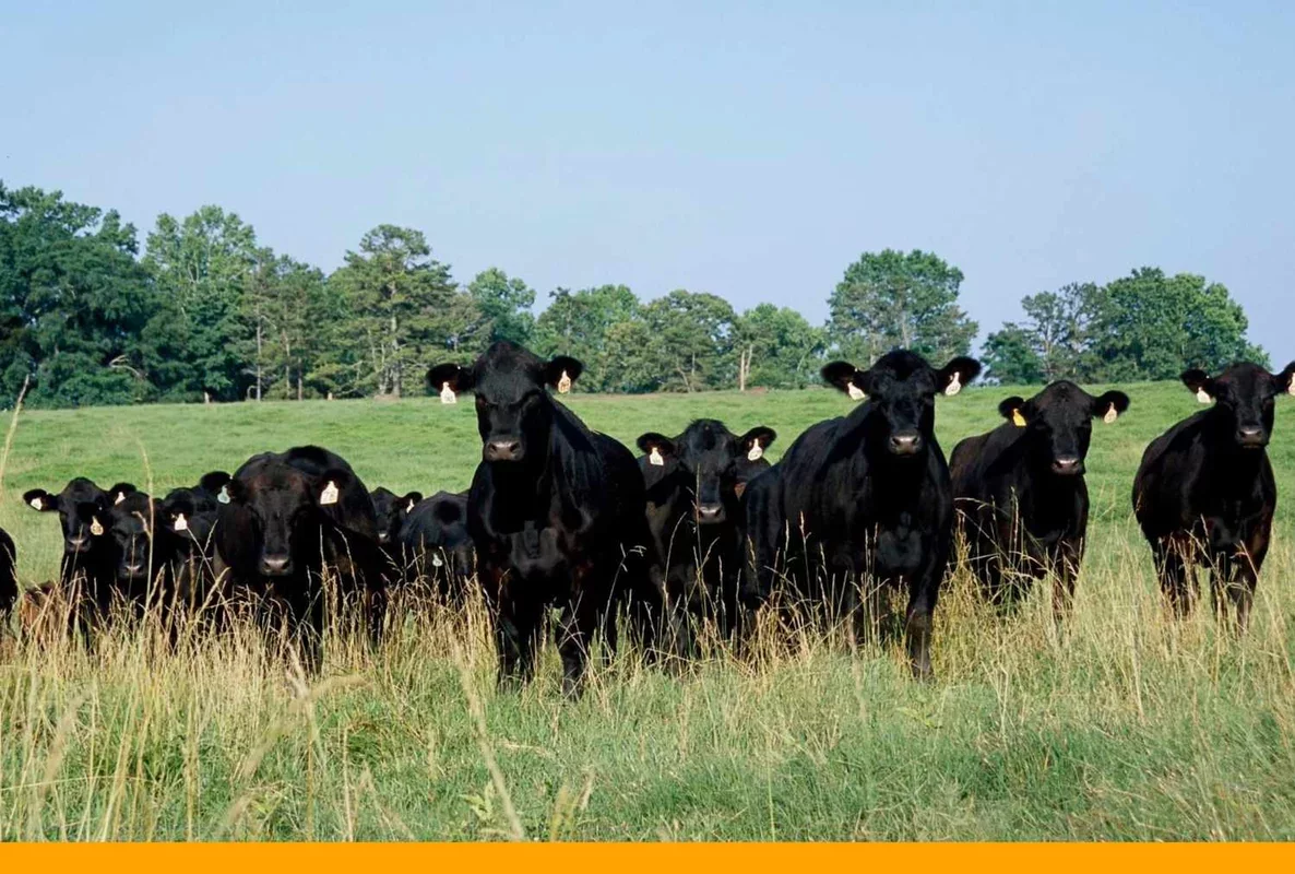 Three Key Updates for February 2, 2026