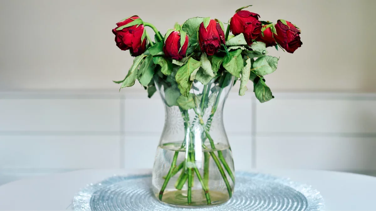 Unique Valentine's Day Gift Ideas Beyond Flowers