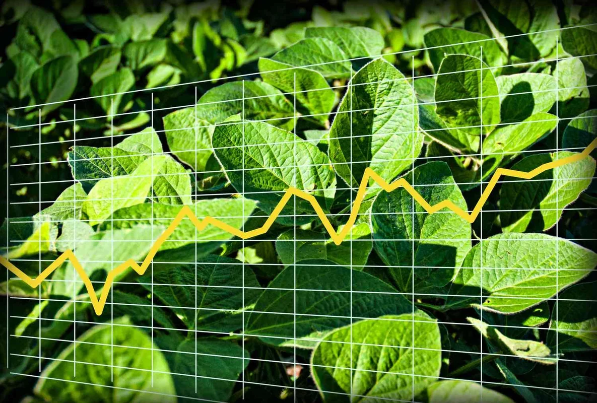 Soybean Prices Rise by 8¢ on February 3, 2026