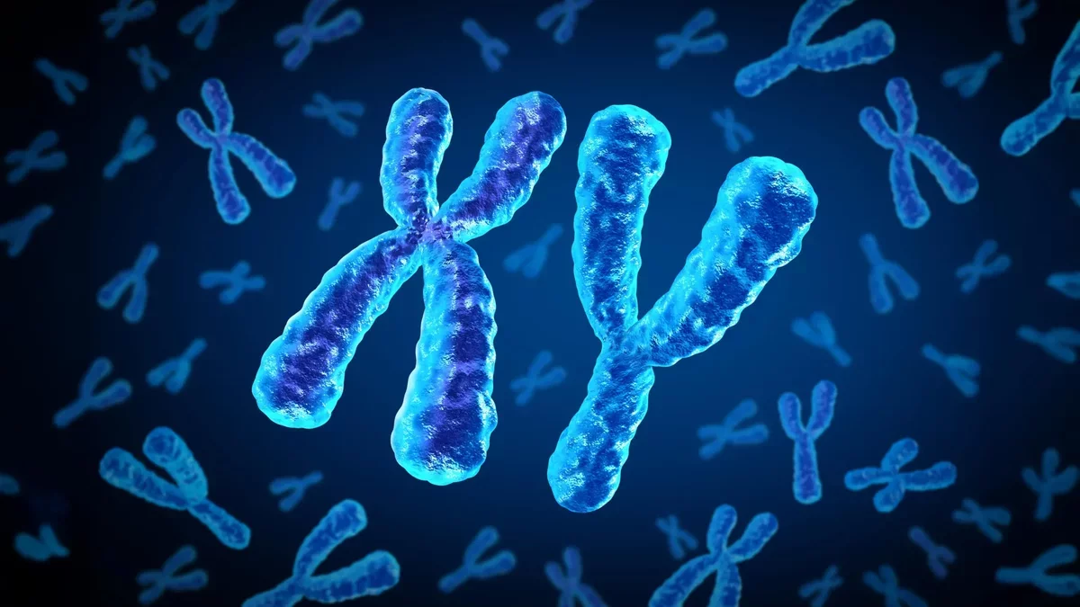 Understanding Gender Differences in Heart Disease Risk for Diabetics