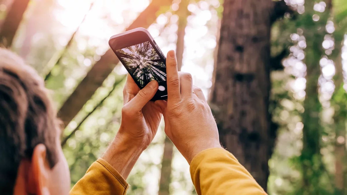 Messenger Apps Compress Your Files: Here's How to Share in Full Quality