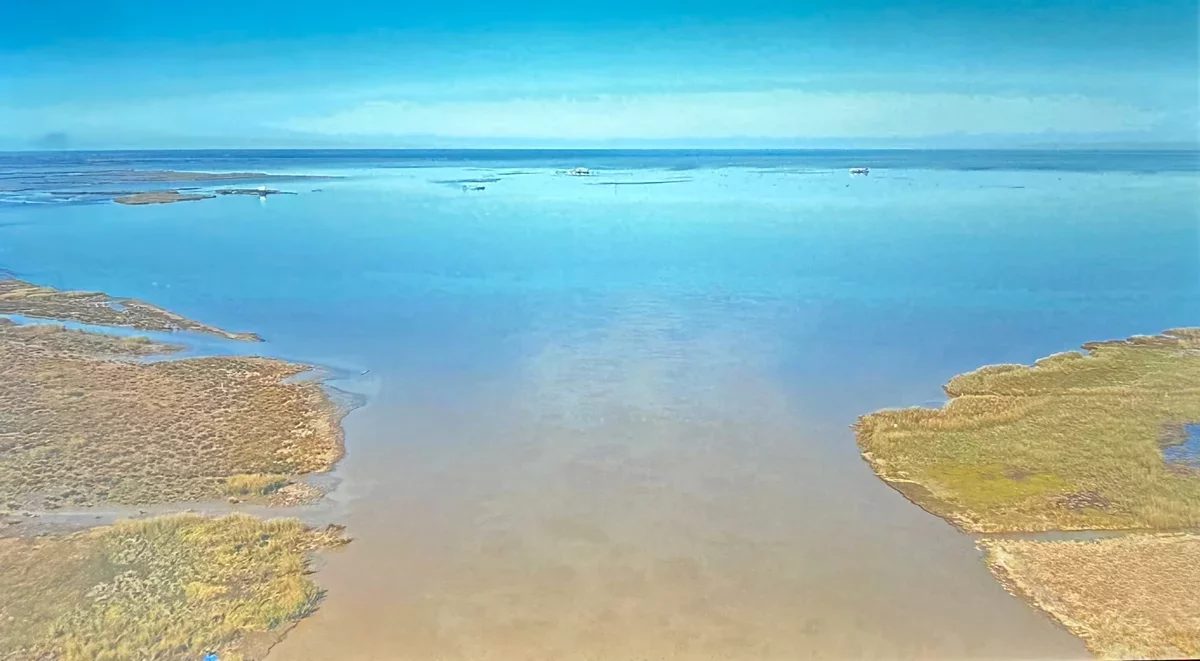 Deborah Jack's Captivating Tribute to Water