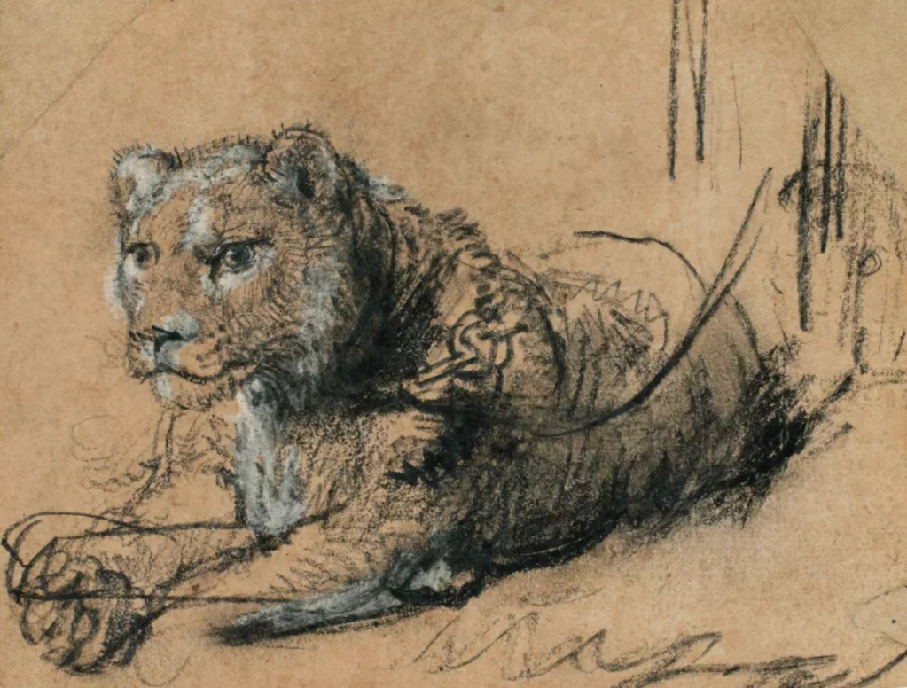 Thomas Kaplan's Rembrandt Lion Drawing Achieves $17.8 Million at Sotheby's, Proceeds Supporting Wild Cat Charity