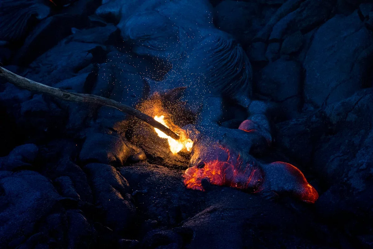 Fire: The Catalyst of Civilization and Our Evolutionary Journey