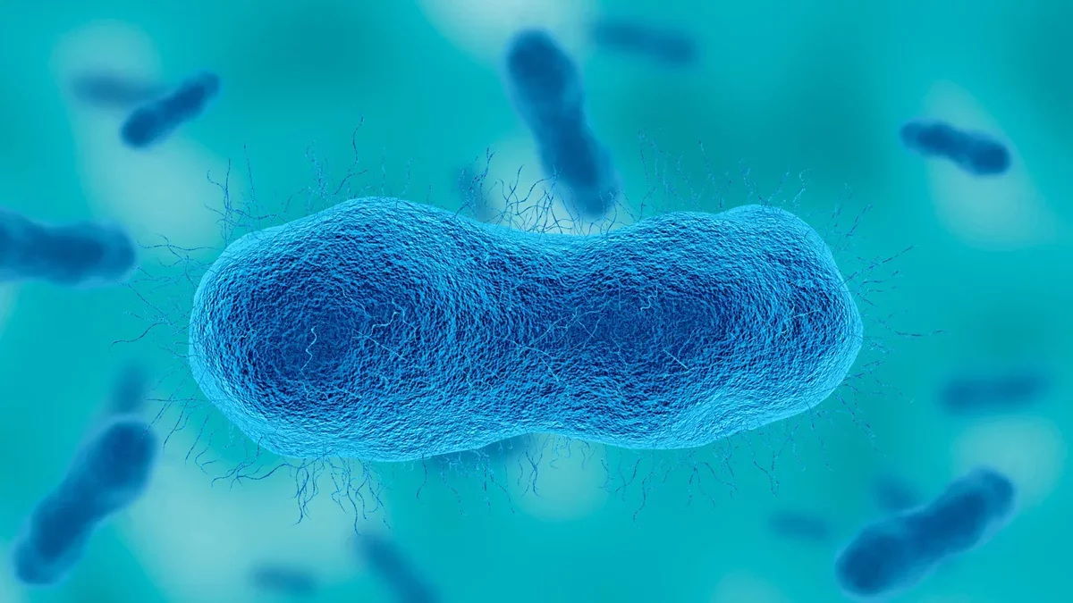 Breakthrough in Antibody Research: A Potential Solution Against Superbugs