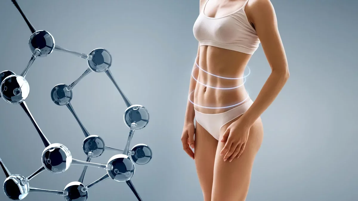 Scientists Discover Enzyme That Could Revolutionize Weight Management