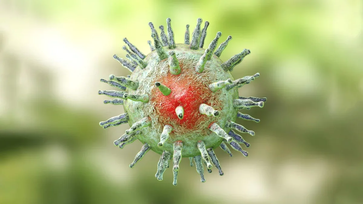 New Insights on Epstein-Barr Virus and Multiple Sclerosis Connection