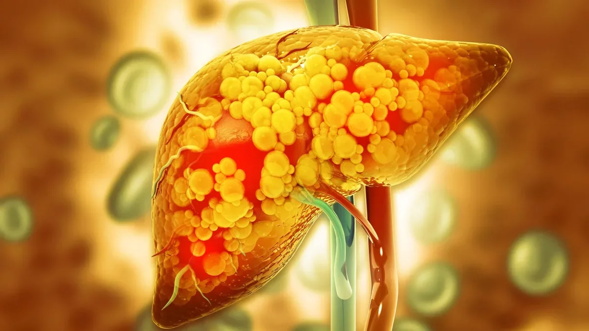Scientists Discover Gut Compound That Protects the Liver