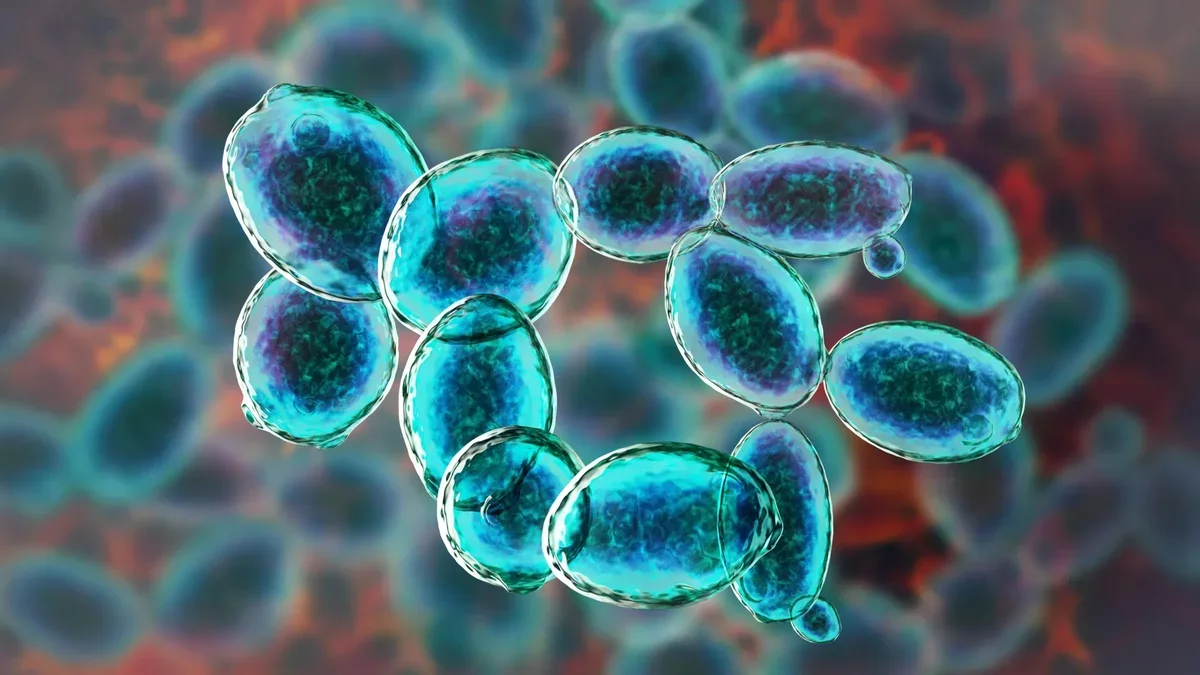 Yeast Thrives Under Mars-Like Conditions, Offering New Insights into Extraterrestrial Life