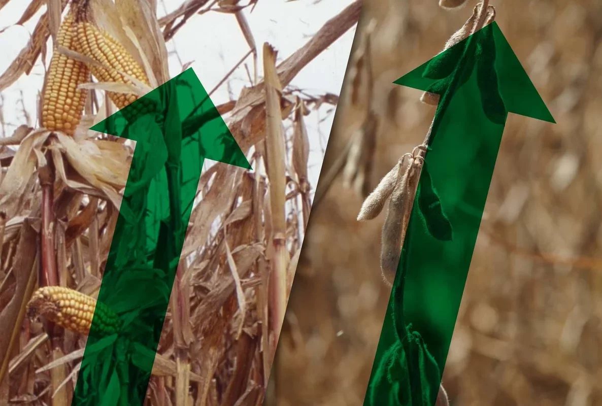 Market Update: Agricultural Futures Show Positive Trends | February 10, 2026