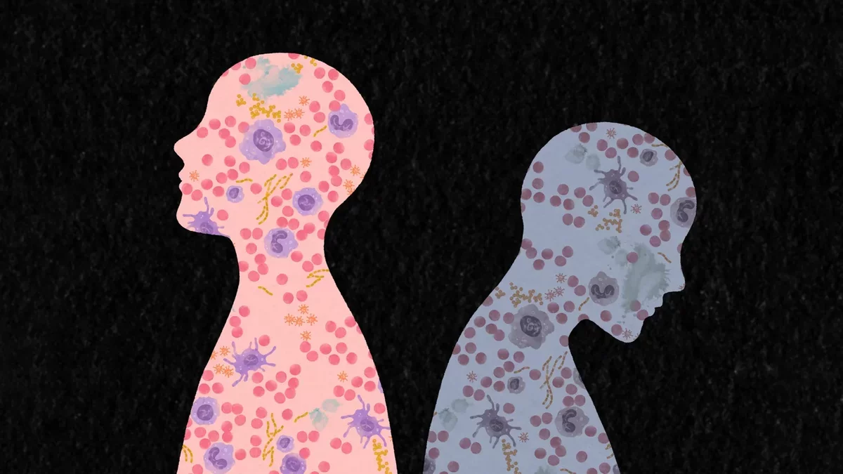 New Insights into How Life Experiences Shape Our Immune System