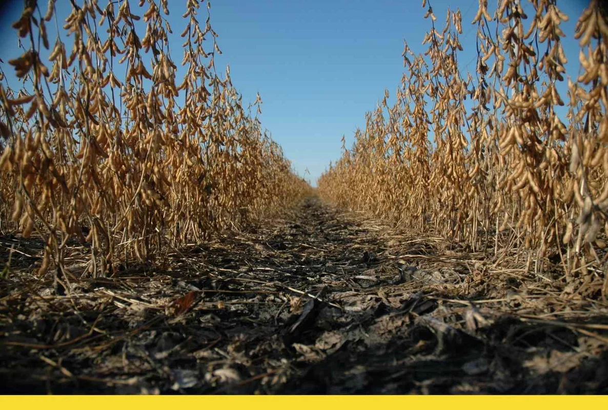 Three Key Developments for February 11, 2025