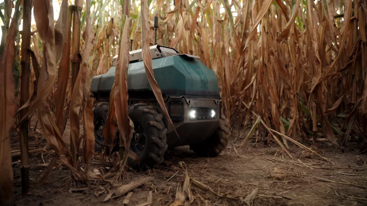 Upside Robotics Innovates Fertilizer Use in Corn Farming