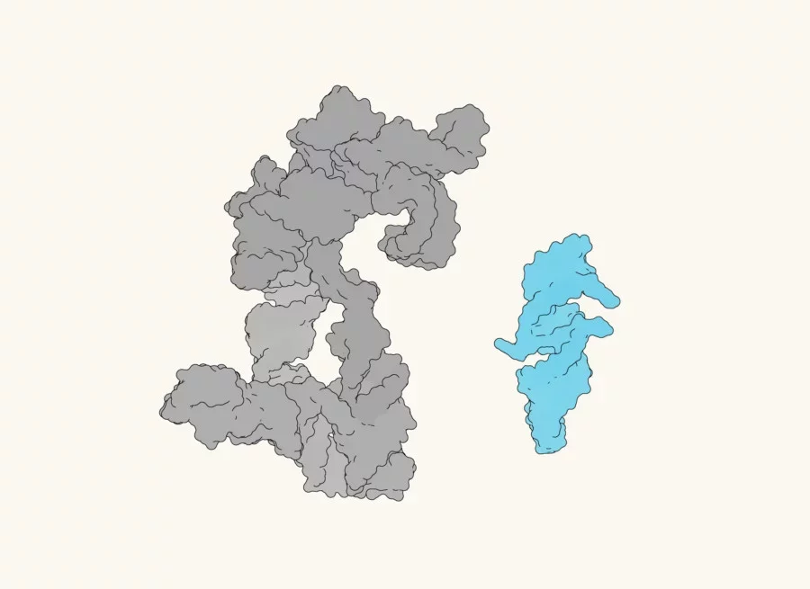 The Remarkably Small RNA Molecule That May Unlock the Secrets of Life's Origins