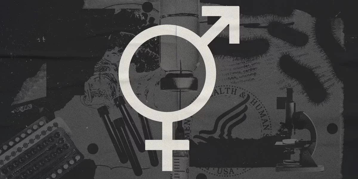 Reviving Insights: Understanding Bisexuality