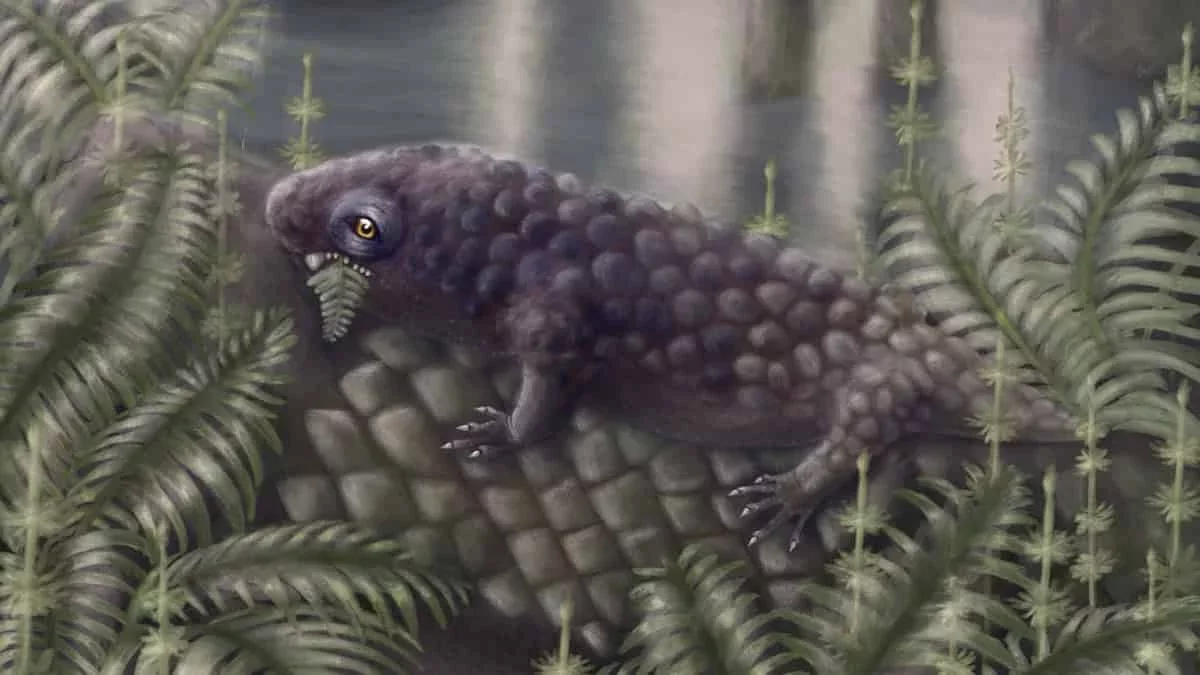 Discovery of Ancient Herbivore: The 300-Million-Year-Old Tyrannoroter Heberti