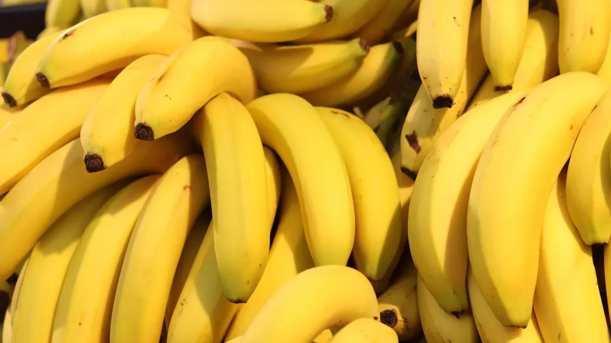 Concerns Over Metal Contamination in Bananas Following Brazilian Mining Incident