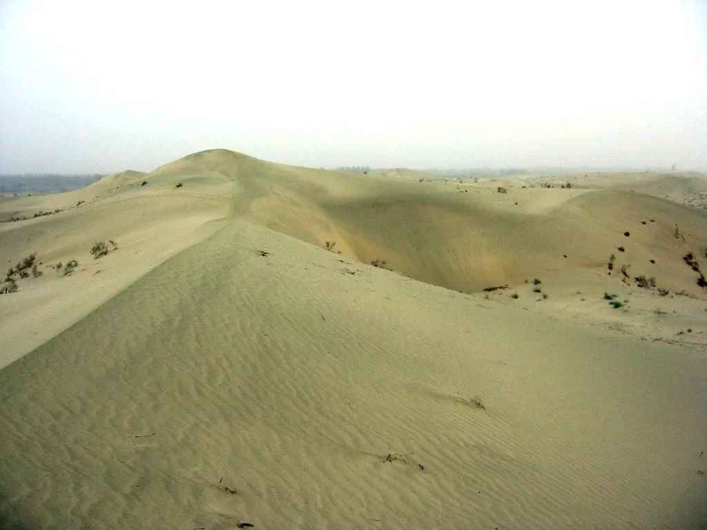 China's Green Revolution Turns Taklamakan Desert into a Carbon Sink