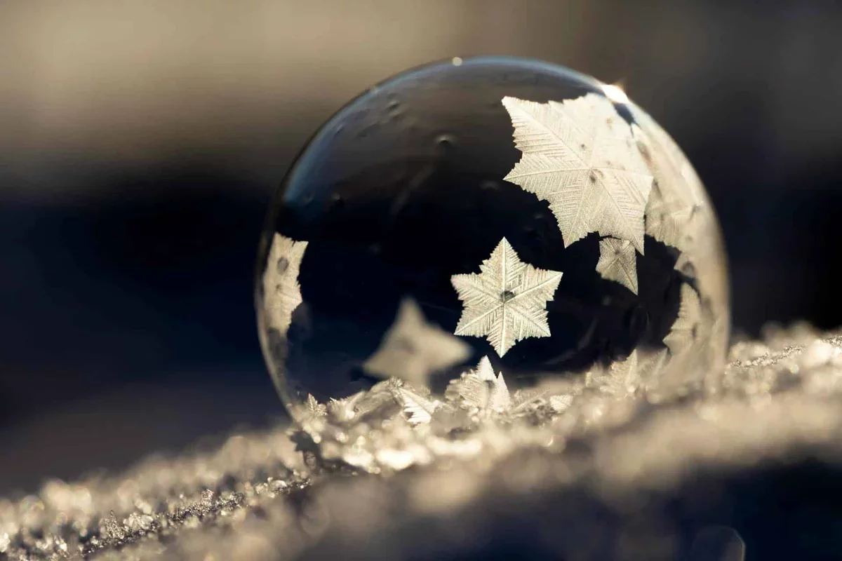 A Revolutionary Cooling Technology Set to Replace Traditional Freezers