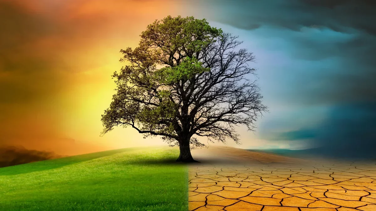 Nature's Resilience: A Surprising Slowdown in Species Turnover Amid Climate Change