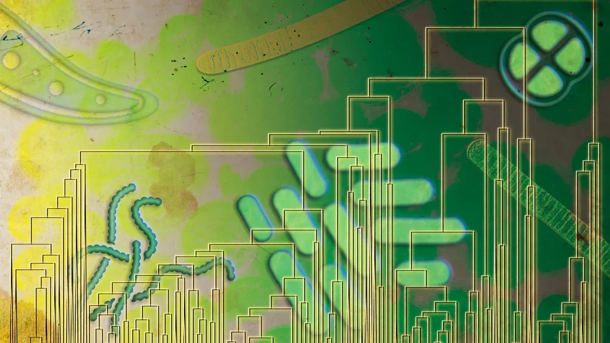 Ancient Microbes May Have Harnessed Oxygen 500 Million Years Before It Enriched Earth's Atmosphere