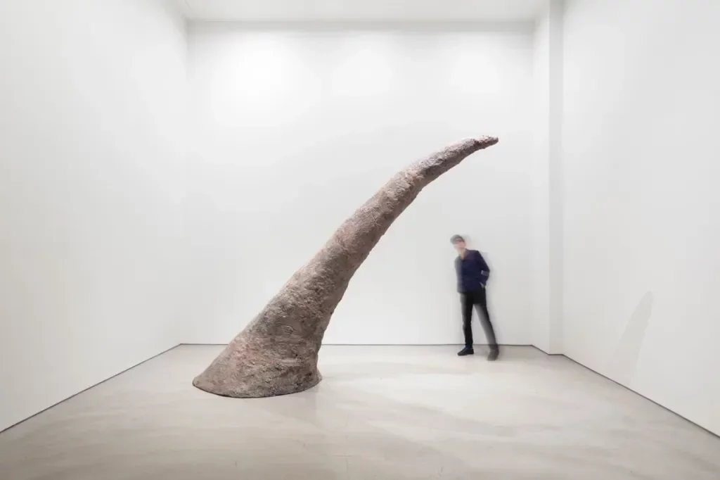 Mia Westerlund Roosen: A Journey of Endurance and Artistic Evolution