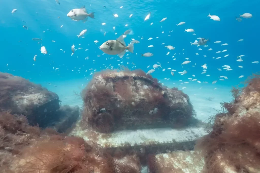 Exploring the Underwater Art Initiative Transforming Miami Beach