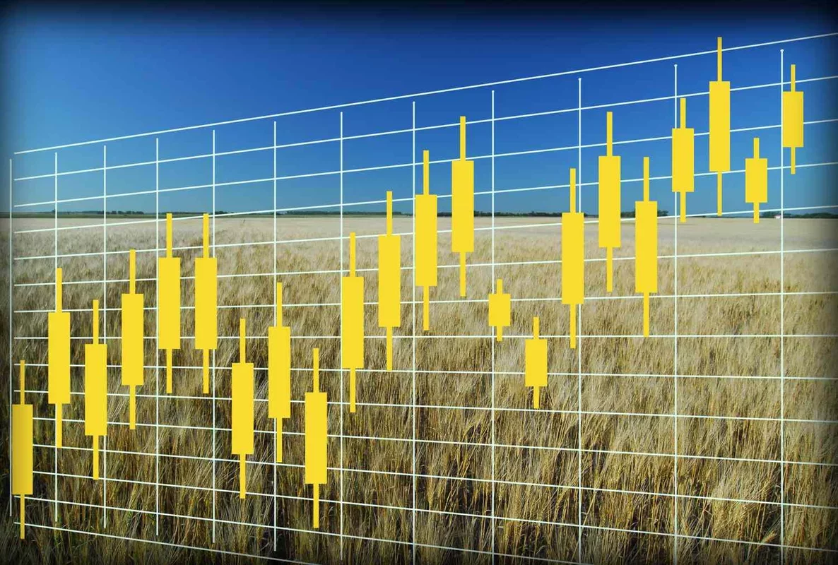 Kansas City Wheat Sees Notable Increase of Over 12¢