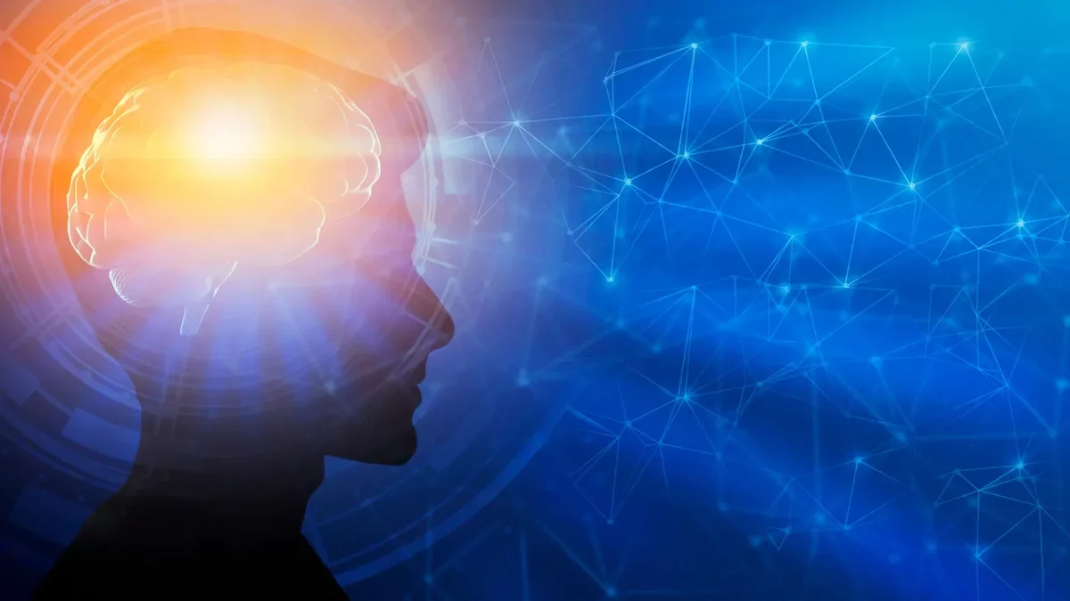 New Research Reveals Brain Development May Extend into Your 30s