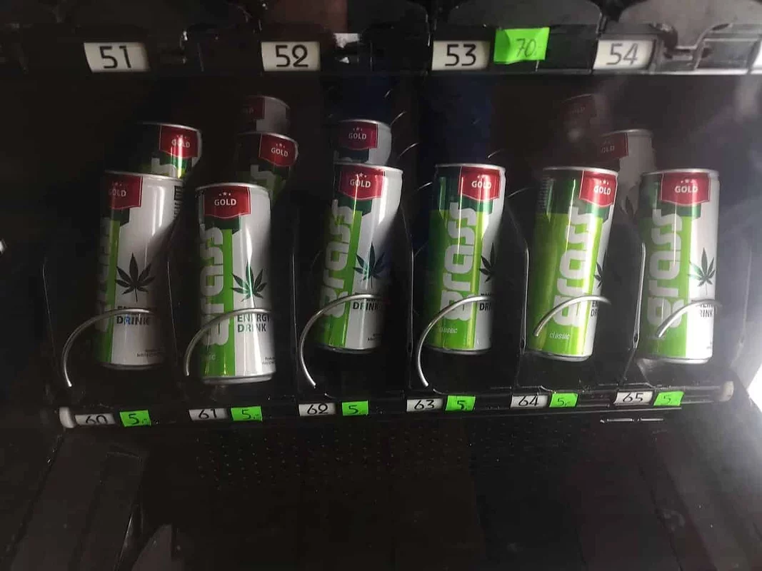 Cannabis Beverages: A Potential Alternative to Alcohol Consumption