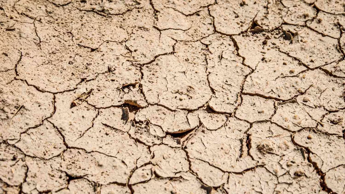 Colorado Faces Unusual Dry Conditions Ahead of Spring