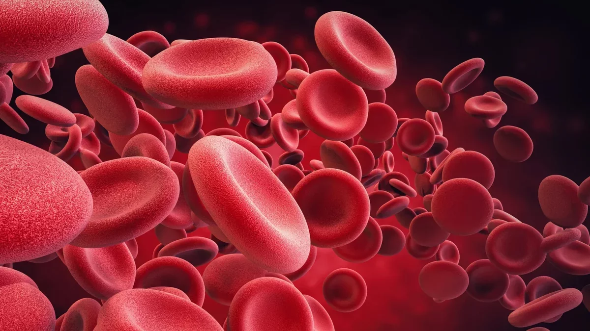 Impact of Ultramarathons on Red Blood Cell Health Revealed