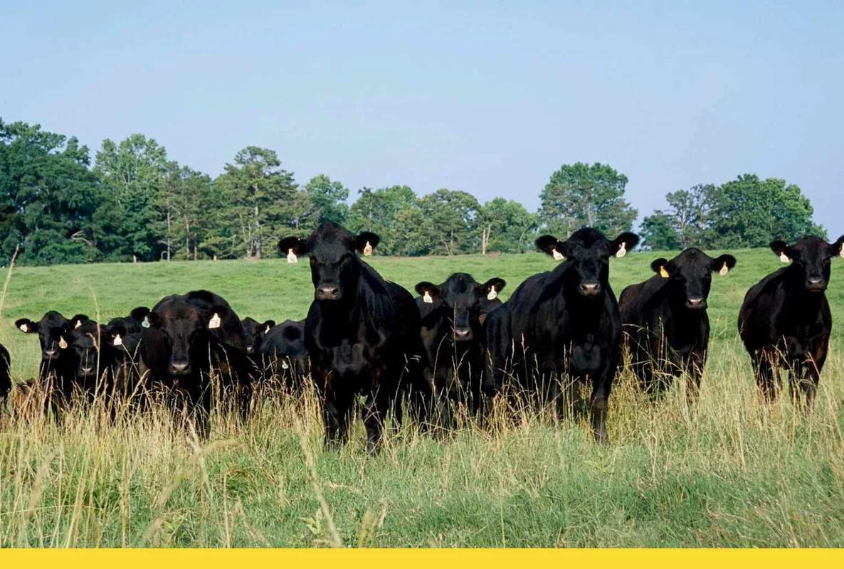 Three Key Highlights for February 23, 2026