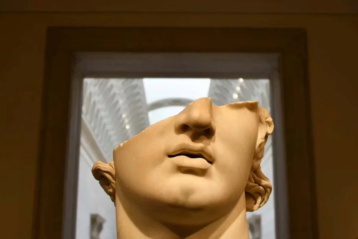 Unraveling the Enigma of the Human Chin: A Surprising Evolutionary Insight