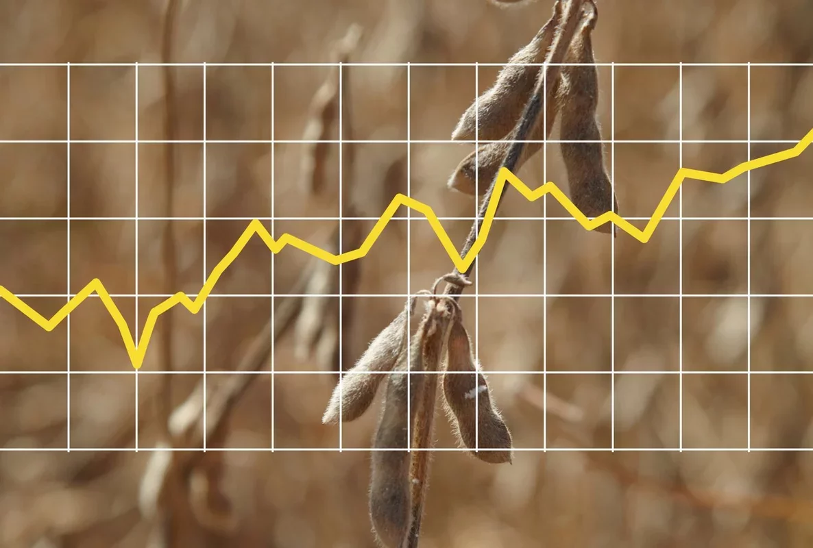 Grain Market Update: Soybeans Gain Amid Weather Concerns