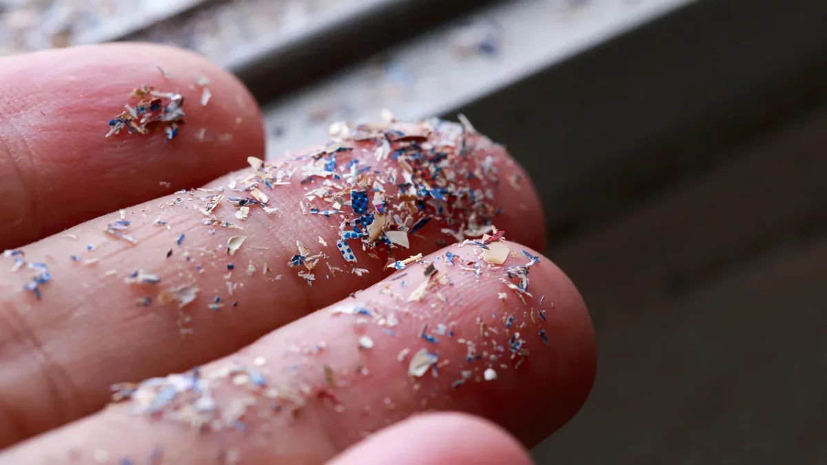 Microplastics Detected in Majority of Prostate Cancer Tumors, Study Indicates