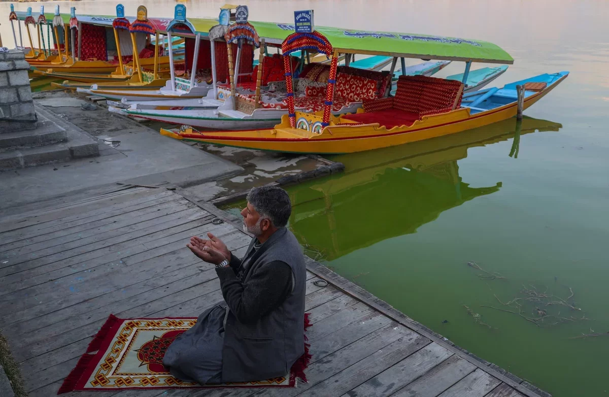 Exploring Art and Identity Through Ecological Narratives