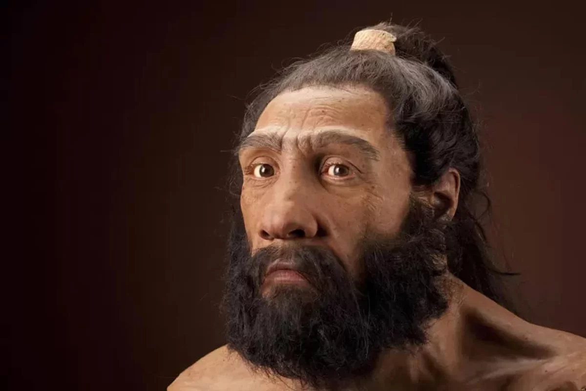 New Insights into Stone Age Interbreeding: Neanderthal Men and Homo Sapiens Women