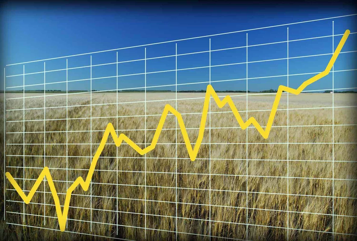 Grains Market Shows Positive Trends as February Concludes