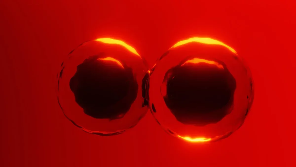 New Insights into Cell Division: A Breakthrough Discovery