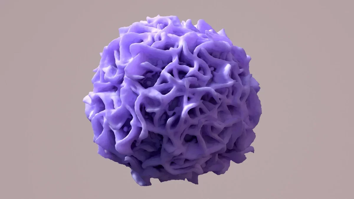 Breakthrough in Immunology: Genetic Switch Found to Keep Organs Healthy