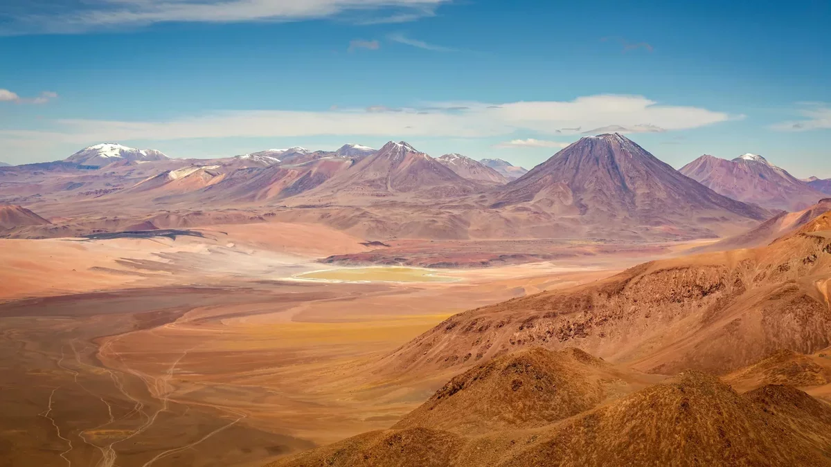 Atacama Desert Reveals Hidden Biodiversity in Harsh Conditions