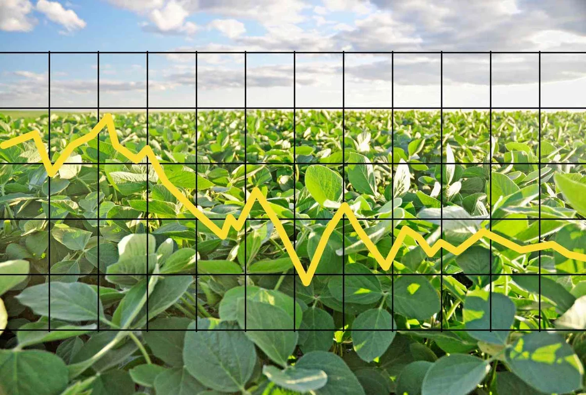 Soybean Prices Decline on March 2, 2026