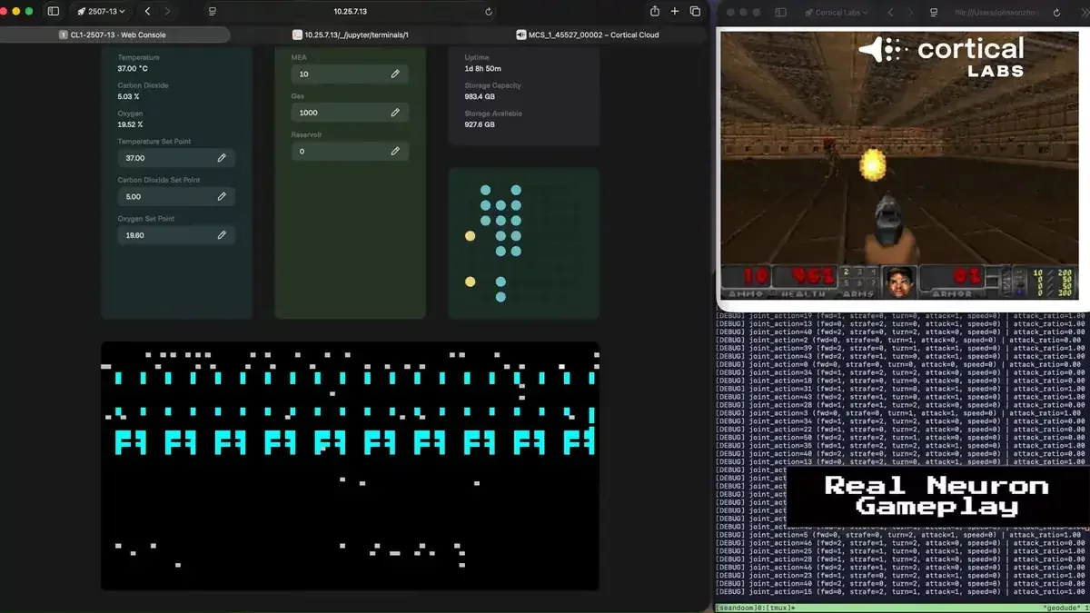 Living Neurons Master Classic Video Game: A Breakthrough in Biological Computing