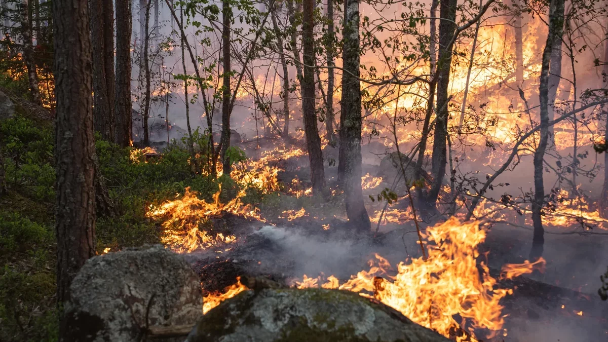 New Insights on Carbon Emissions from Boreal Wildfires