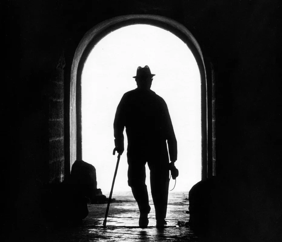 Stem Cells from Youth Show Promise in Restoring Mobility for Seniors